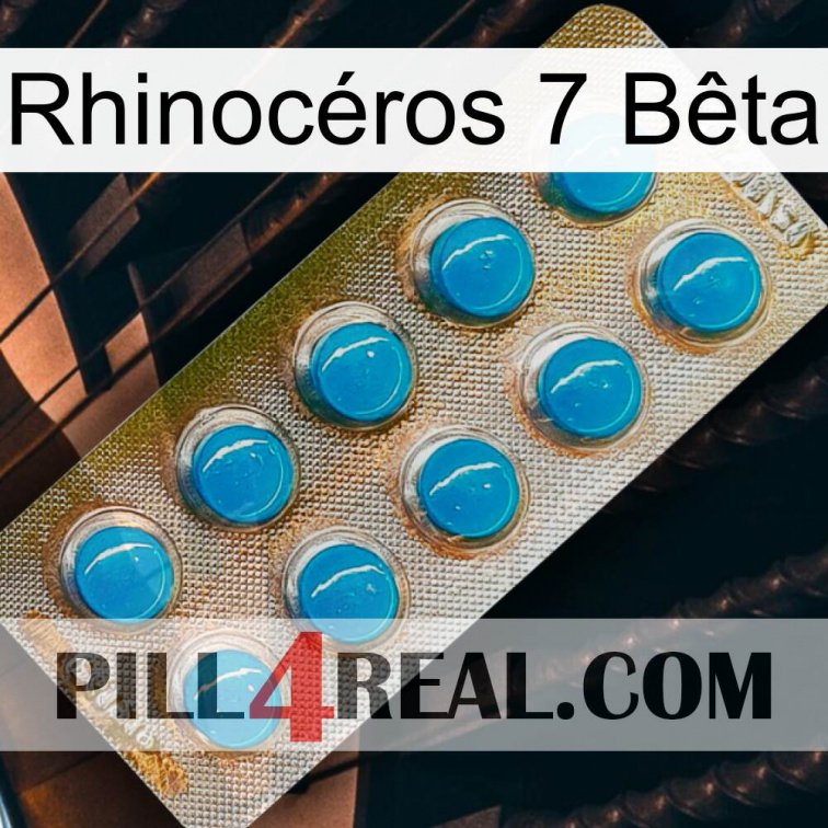 Rhinocéros 7 Bêta new09